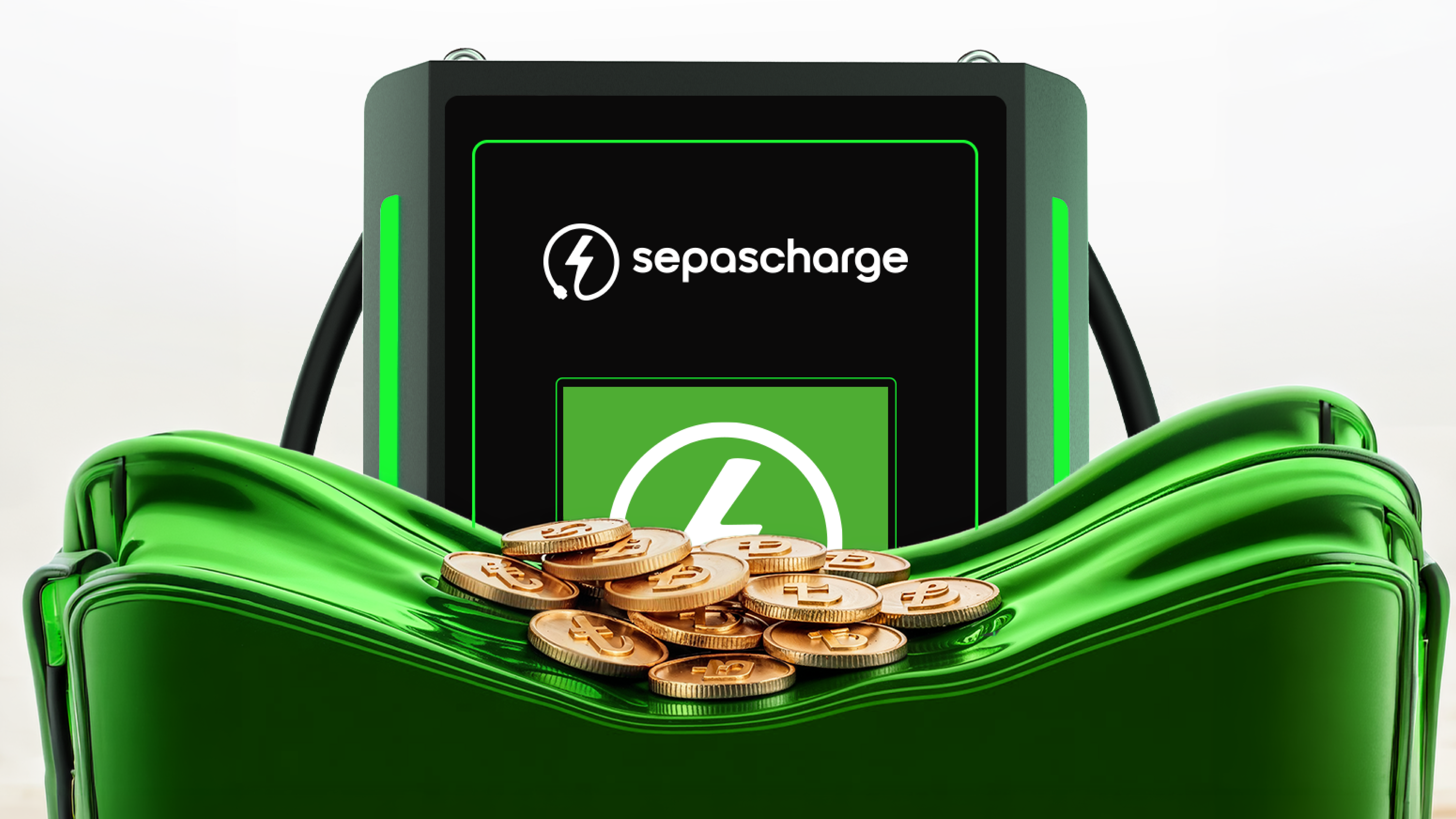 sepascharge Ödeme Yöntemleri